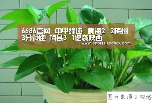 6686官网